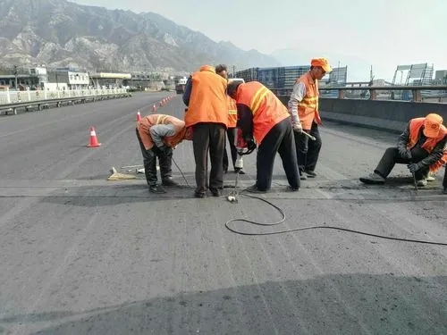 伊犁道路桥梁病害治理